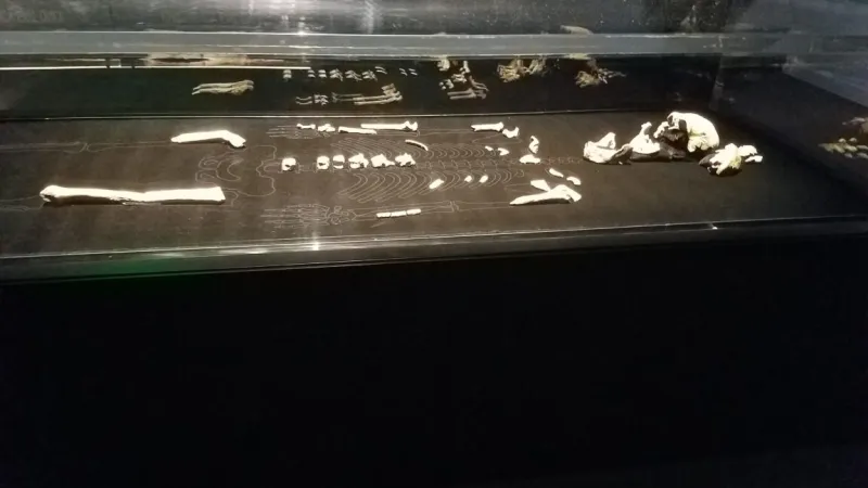 El misterio de los Homo naledi: todas las que hemos encontrado son tías, y eso flipa