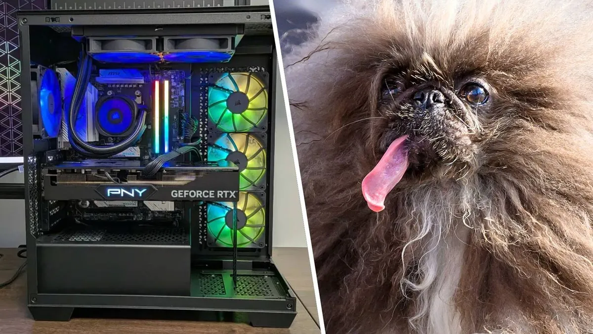 Perro intenta disparar a un jugador de PC, pero su equipo (y la RAM) reciben la bala: 'Me habría golpeado mientras dormía si la PC no hubiera estado allí'