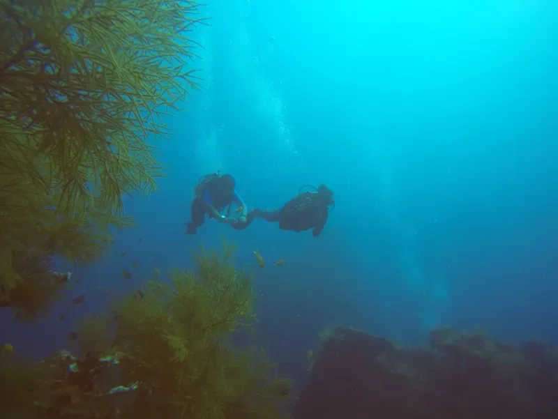 Por fin Dave pesca como Dios manda (y no hace falta un arpón)