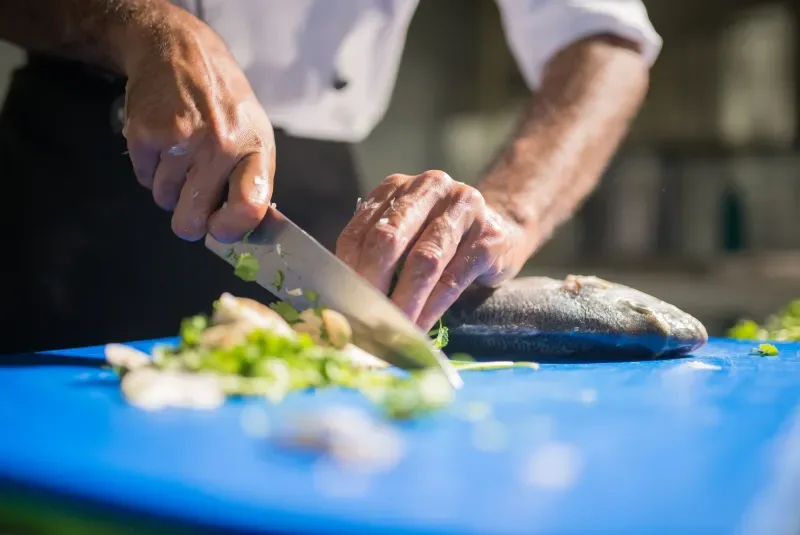 Fishing Chef: códigos para pescar y cocinar sin volverte loco
